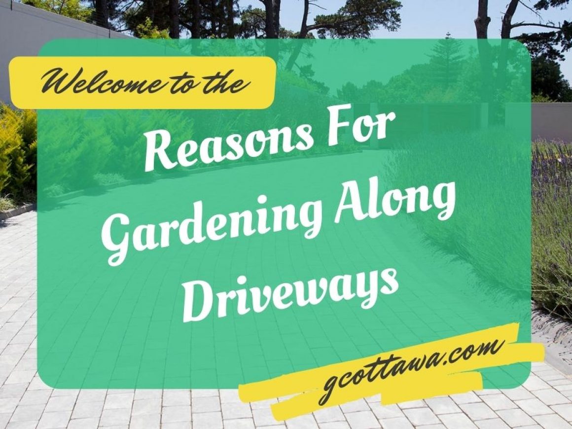 Reasons For Gardening Along Driveways